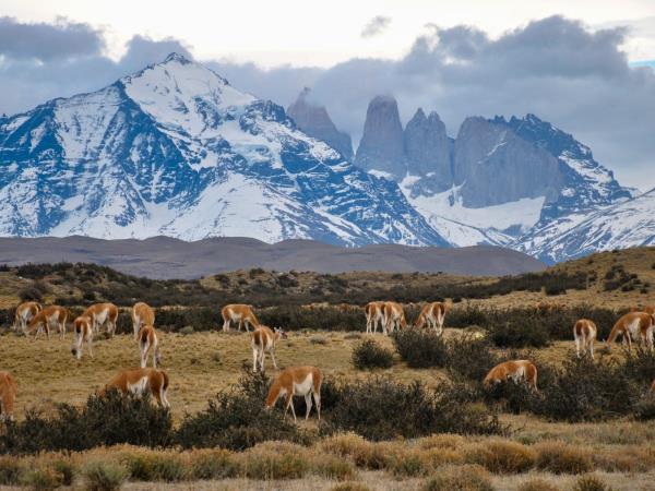 Chile family vacation, tailor made