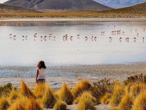 Bolivia salt flats tour from La Paz