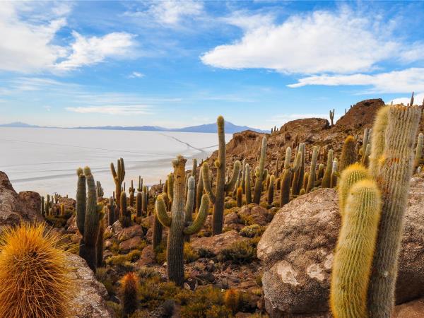 Bolivia budget adventure vacation, 9 days