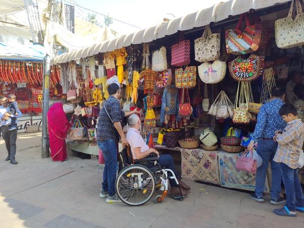 Wheelchair accessible heritage tour of India