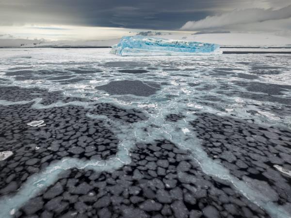 Antarctic cruise with Chilean Fjords, fly and sail