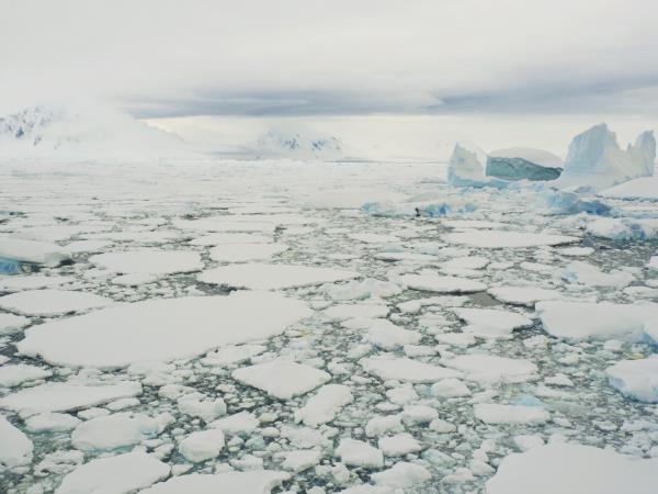 Antarctic Circle and Weddell Sea cruise