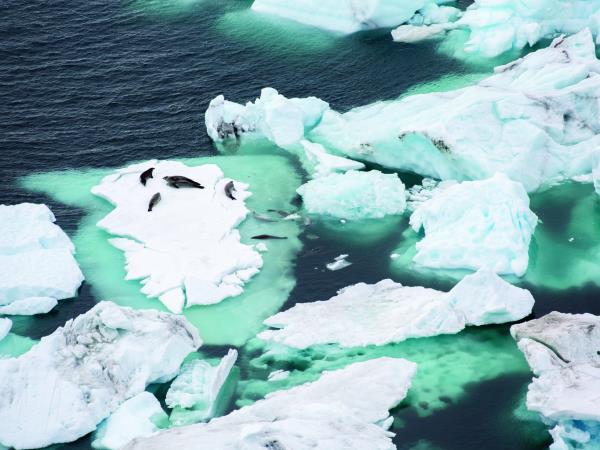 Deep Weddell Sea cruise, following Nordenskjold