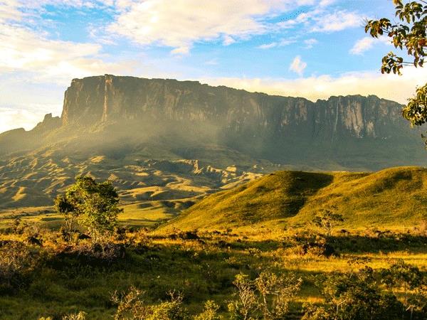 Venezuela nature tour