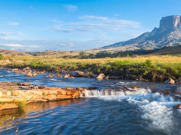 Venezuela nature tour