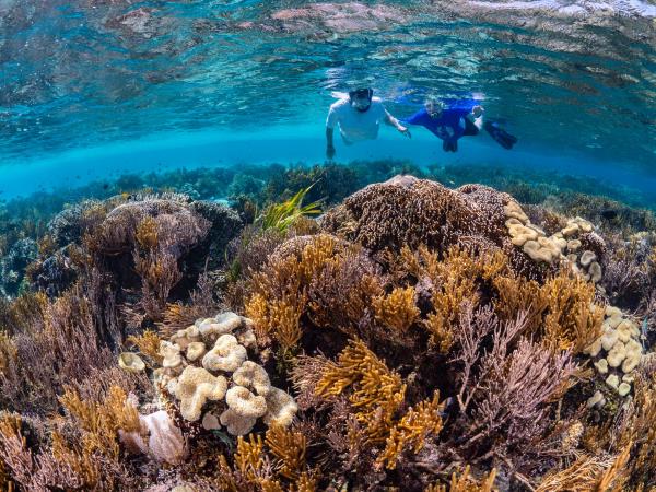 Samoa marine conservation in the South Pacific