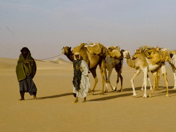 Sahara Desert expedition, Niger