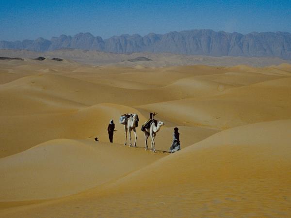 Sahara Desert expedition, Niger