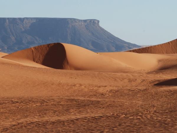 Sahara Desert expedition, Niger