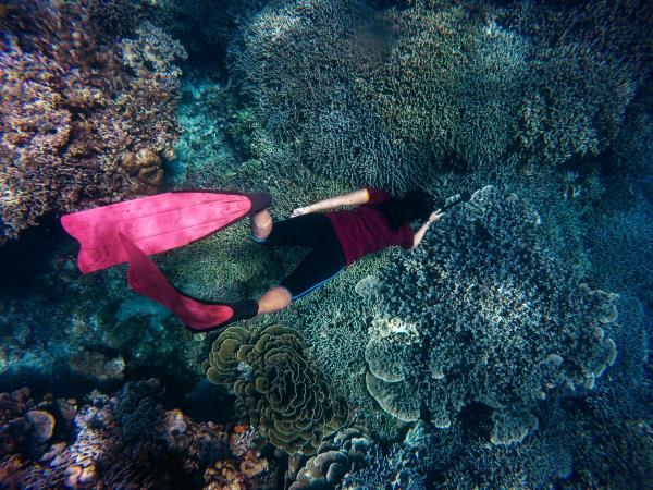 Samoa marine conservation in the South Pacific