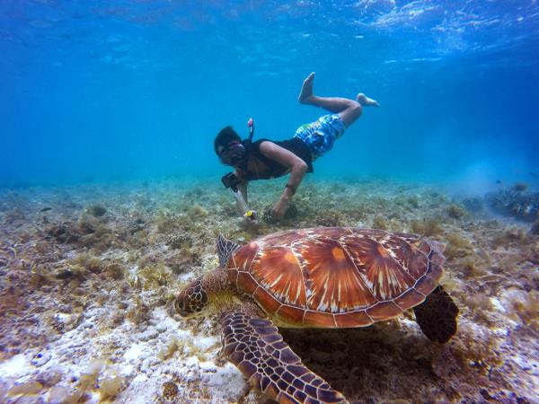 Samoa marine conservation in the South Pacific