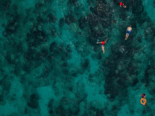 Samoa marine conservation in the South Pacific