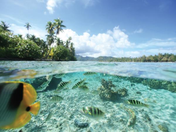 Luxury honeymoon in French Polynesia