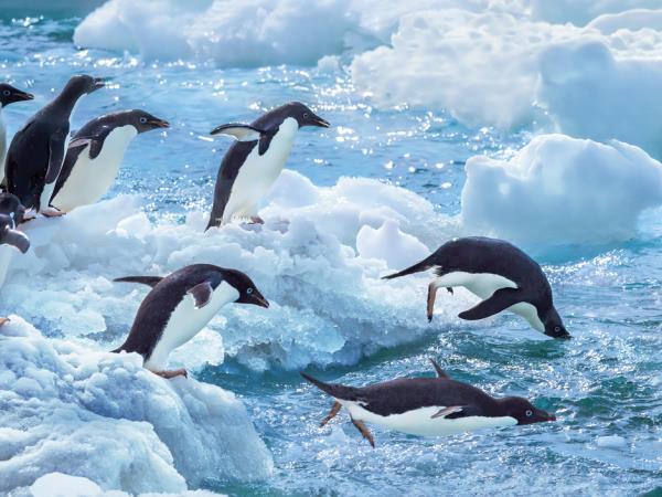 Antarctica semi-circumnavigation expedition cruise