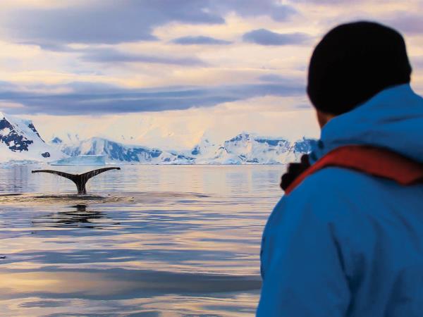 Antarctica semi-circumnavigation expedition cruise