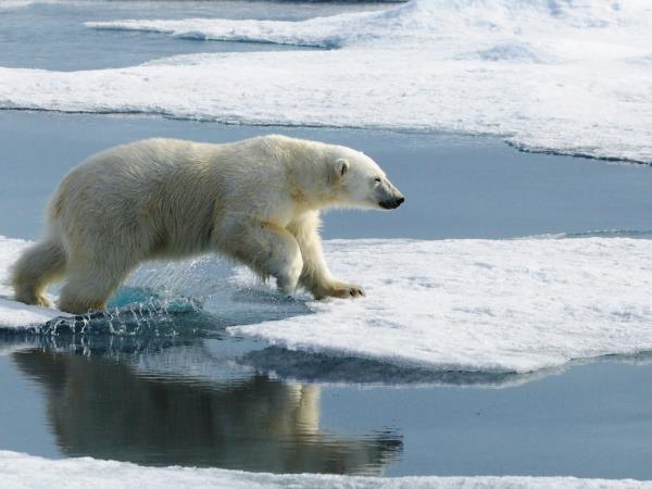 Iceland, Jan Mayen & Svalbard cruise