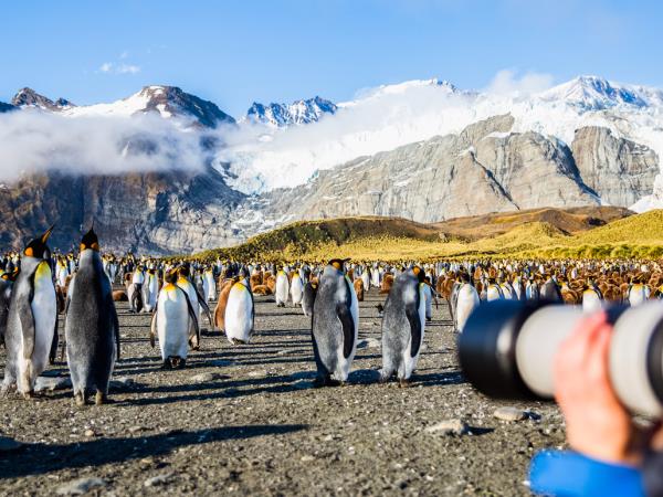 Antarctic cruises, in Shackletons footsteps