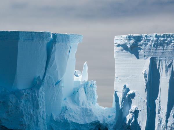 Antarctic cruises, in Shackletons footsteps