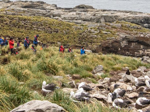 Antarctic cruises, in Shackletons footsteps