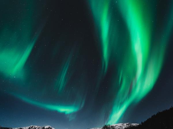 Northern lights cruises in the Arctic Circle