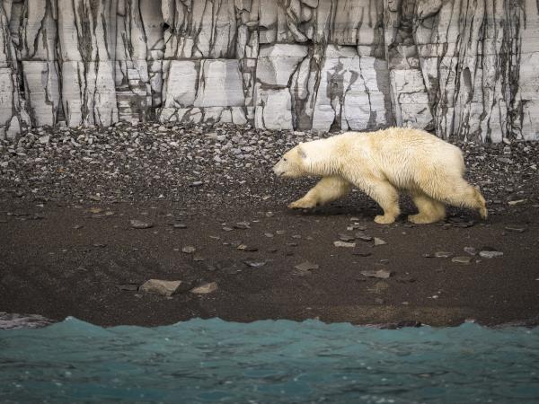 Northwest Passage cruise, eastbound