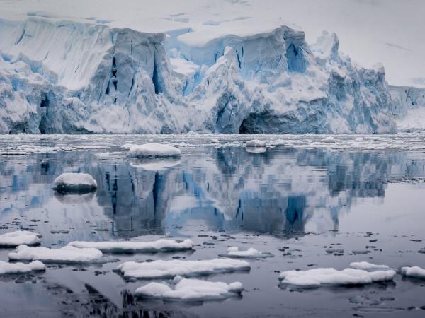 Antarctic Peninsula and Chilean Fjords cruise