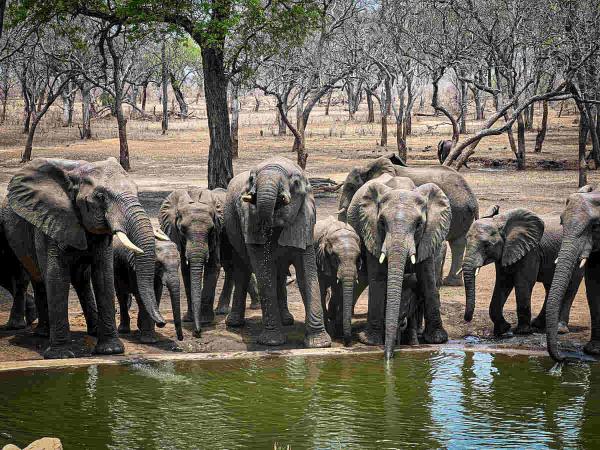 Safari & swimming at Lake Malawi