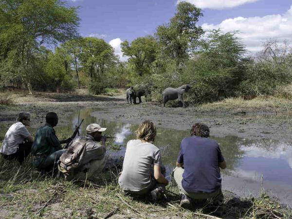 Safari & swimming at Lake Malawi