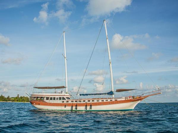 Maldives manta ray conservation snorkeling cruise