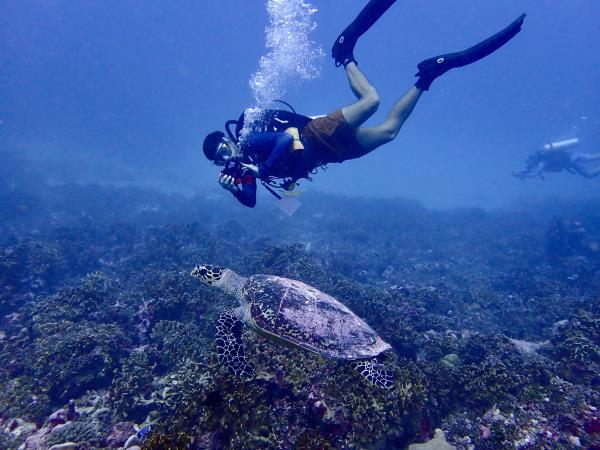 Maldives turtle conservation snorkeling cruise 