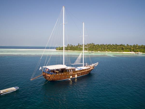 Maldives turtle conservation snorkeling cruise 