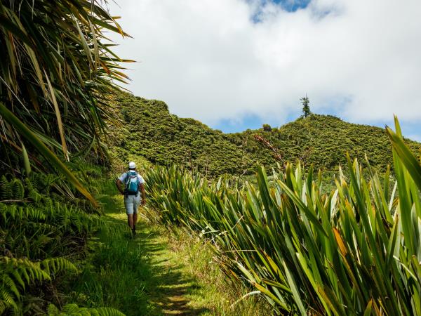 St Helena vacation, tailor made