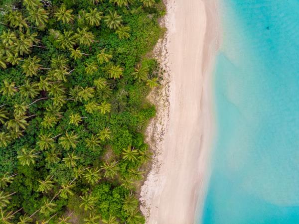 Whales and wellness holiday, Tonga