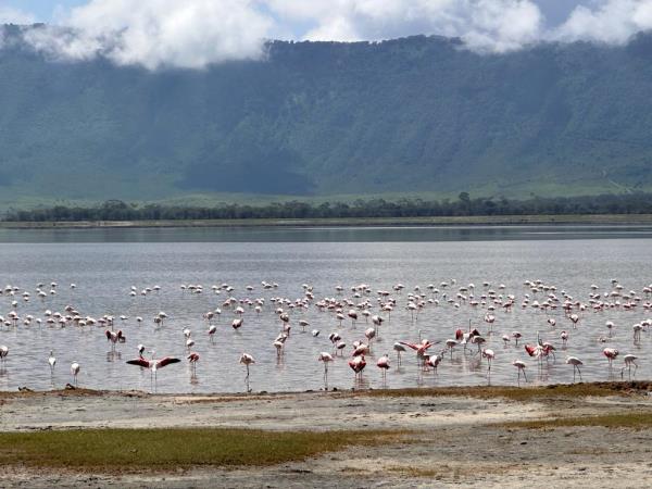 Tanzania national park vacation, off the beaten path