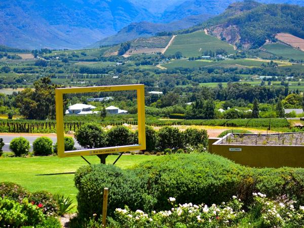 St Helena and South African winelands 