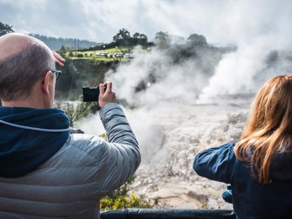 Azores family adventure vacation, whales and dolphins