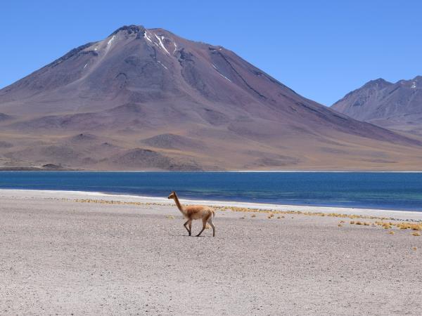 Chile to Bolivia overland adventure