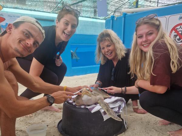 Family volunteering with turtles in the Maldives