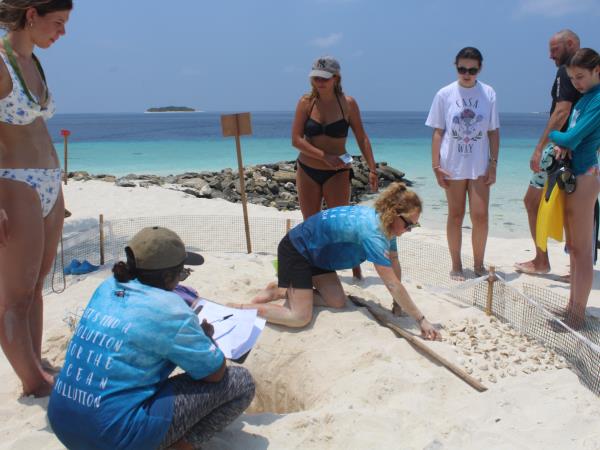 Turtle conservation in the Maldives